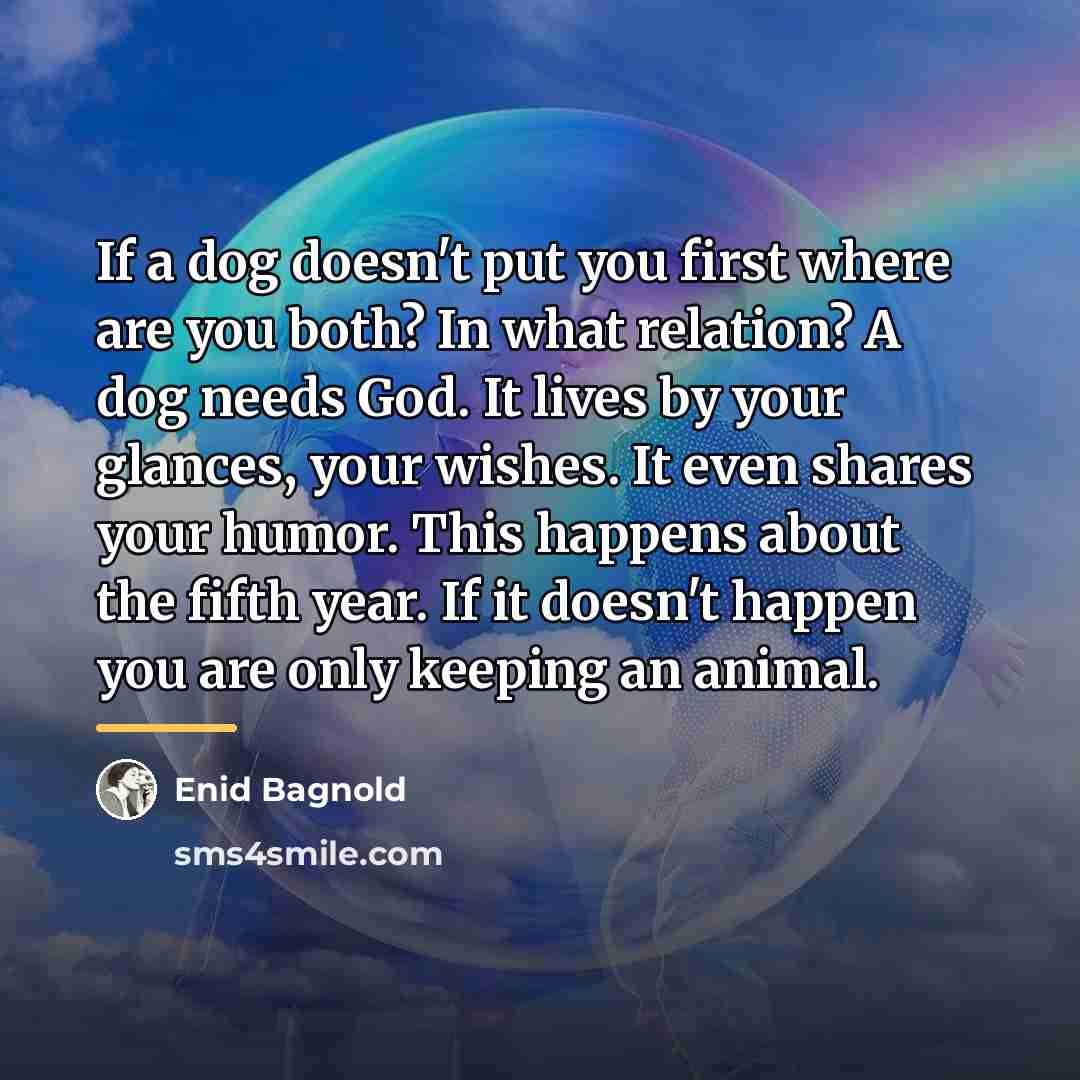 “If a dog doesn't put you first where are you…” quote by Enid Bagnold