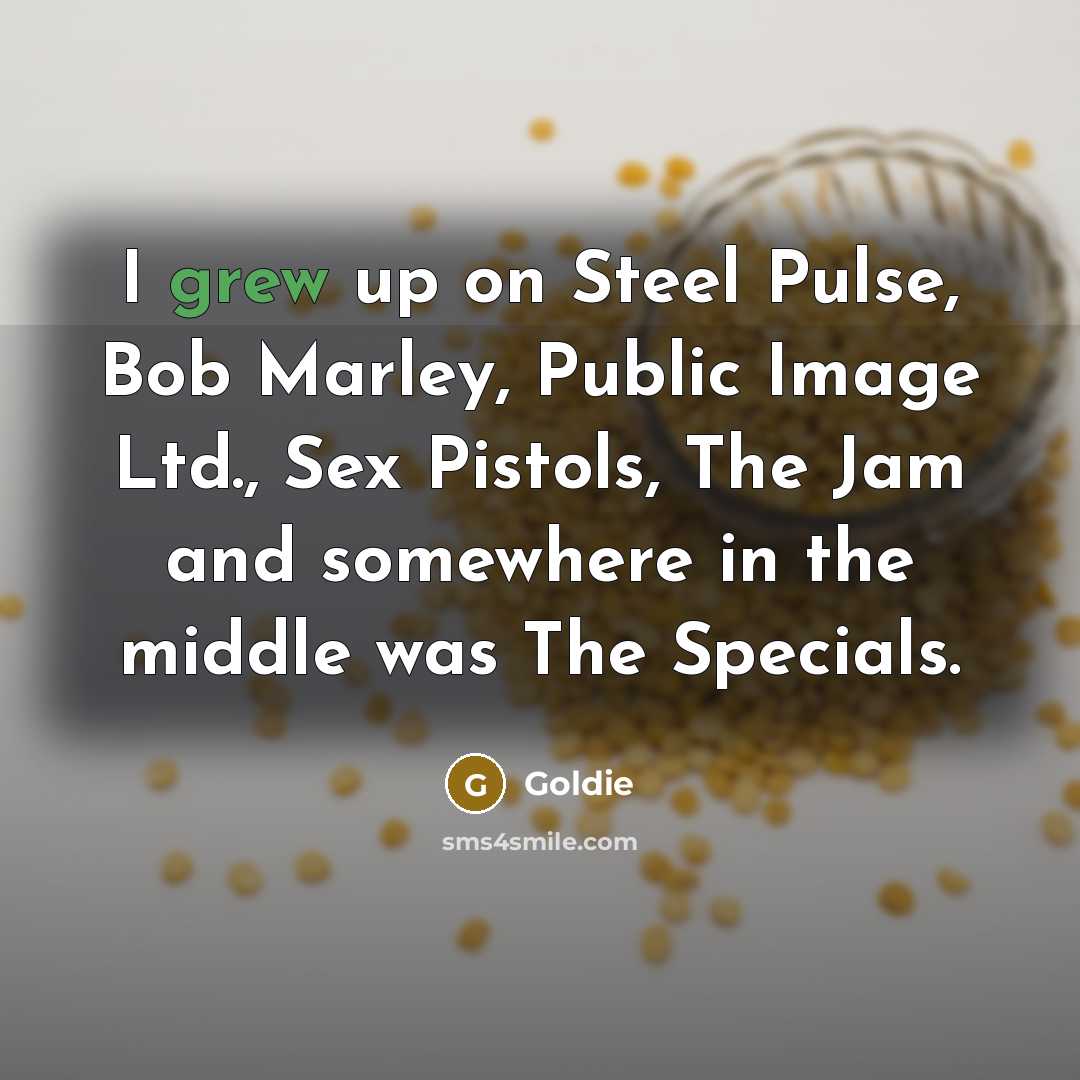“I grew up on Steel Pulse, Bob Marley, Public Image Ltd., Sex Pistols, The Jam and somewhere in the middle was The Specials.” quote by Goldie