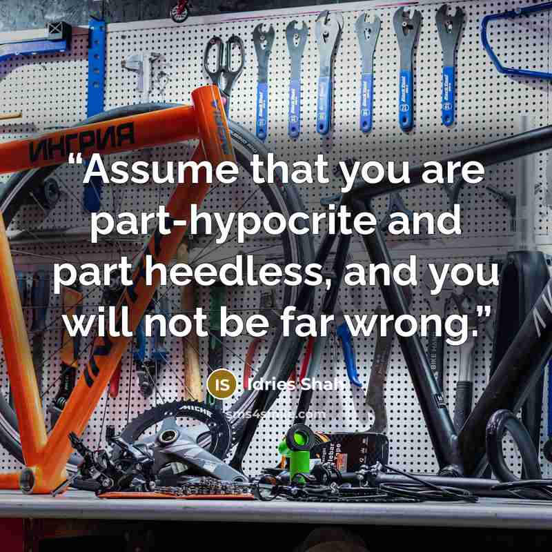 “Assume that you are part-hypocrite and part heedless, and you will not be far wrong.” quote by Idries Shah