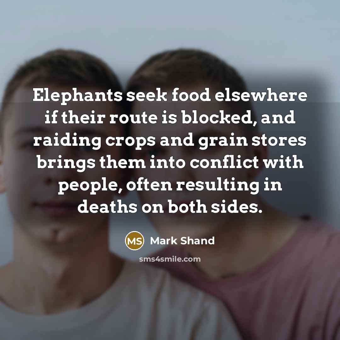 “Elephants seek food elsewhere if their route is blocked, and…” quote by Mark Shand