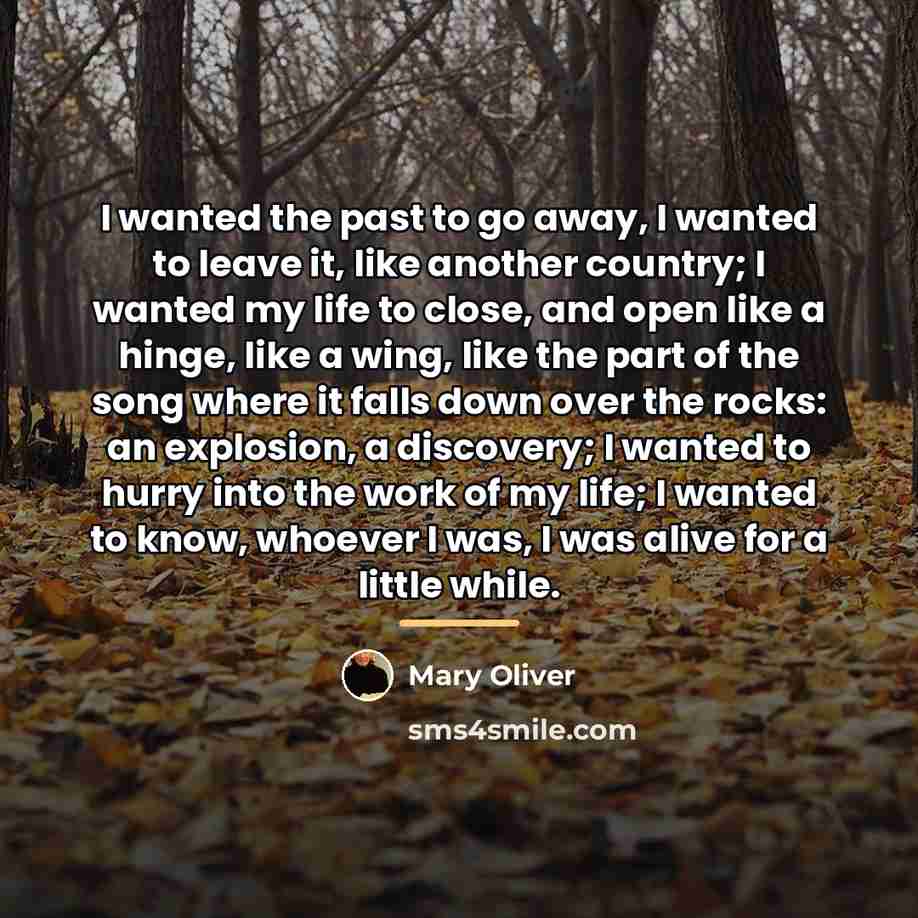 “I wanted the past to go away, I wanted to…” quote by Mary Oliver