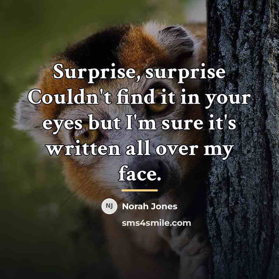 “Surprise, surprise Couldn't find it in your eyes but I'm…” quote by Norah Jones