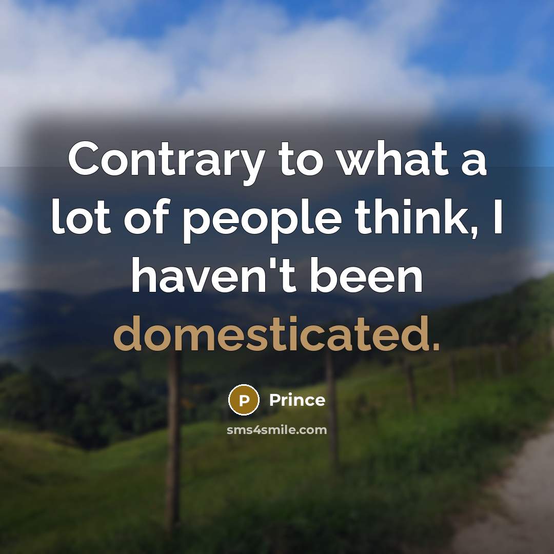 “Contrary to what a lot of people think, I haven't…” quote by Prince