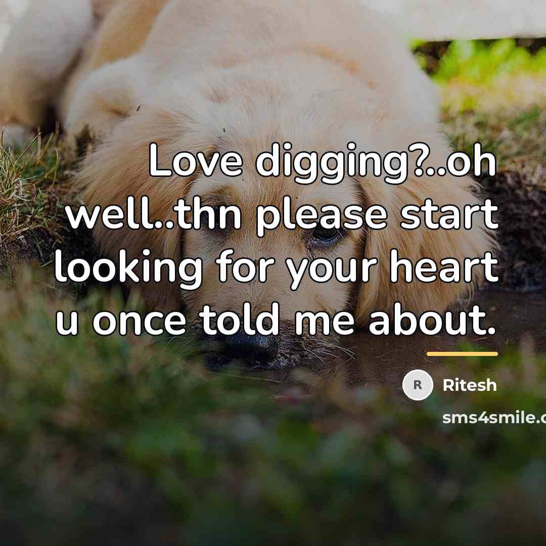 “Love digging?..oh well..thn please start looking for your heart u…” quote by Ritesh