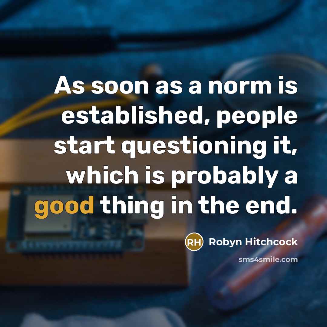 “As soon as a norm is established, people start questioning…” quote by Robyn Hitchcock