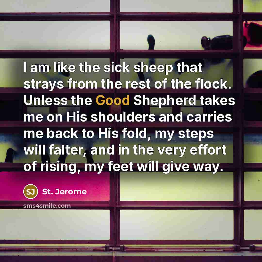 “I am like the sick sheep that strays from the…” quote by St. Jerome