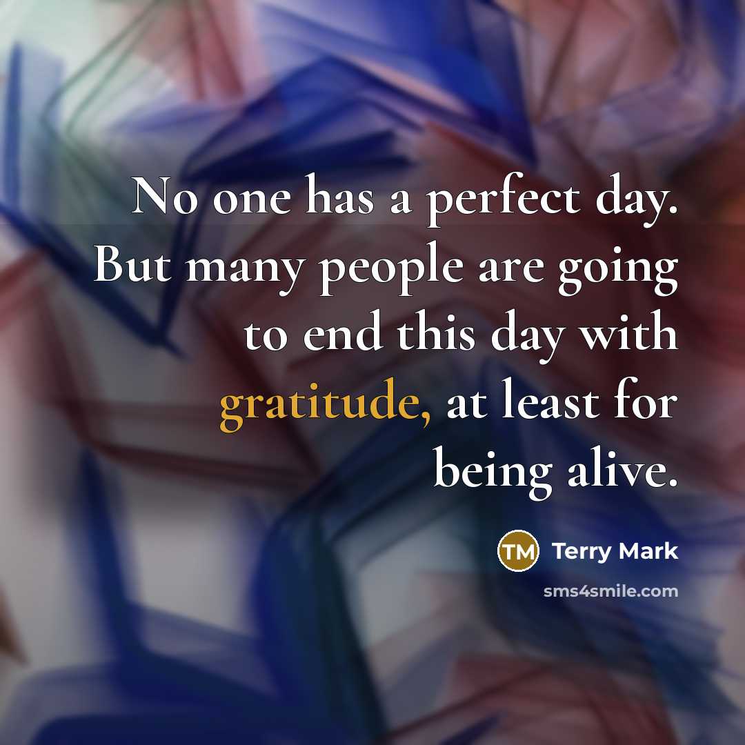 “No one has a perfect day. But many people are…” quote by Terry Mark