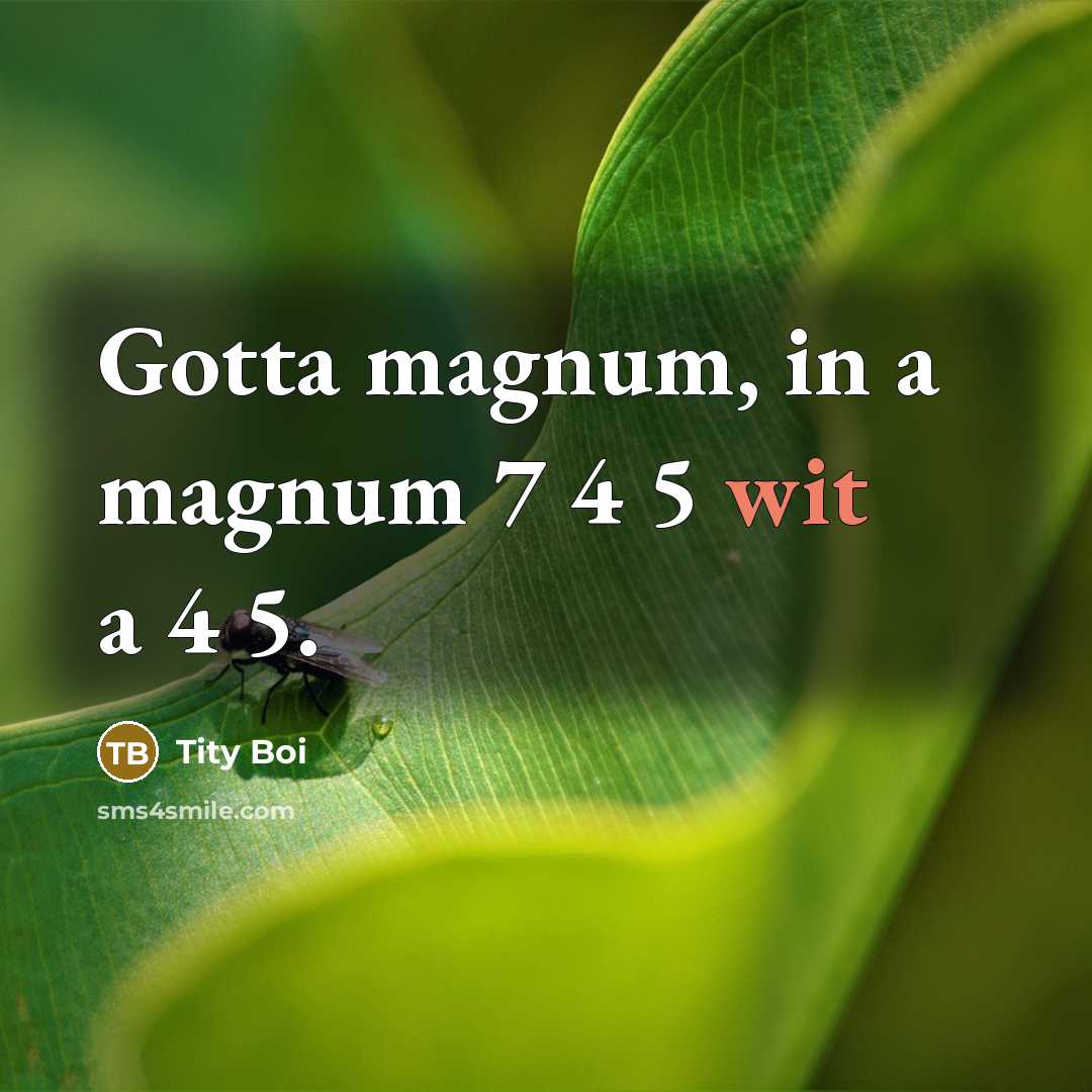 “Gotta magnum, in a magnum 7 4 5 wit a…” quote by Tity Boi