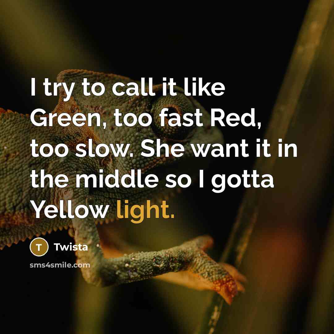 “I try to call it like Green, too fast Red, too slow. She want it in the middle so I gotta Yellow light.” quote by Twista