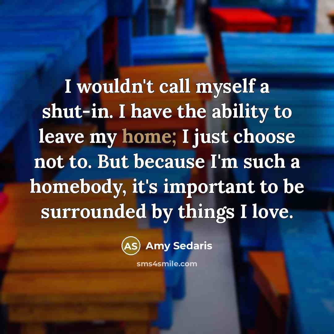 “I wouldn't call myself a shut-in. I have the ability…” quote by Amy Sedaris