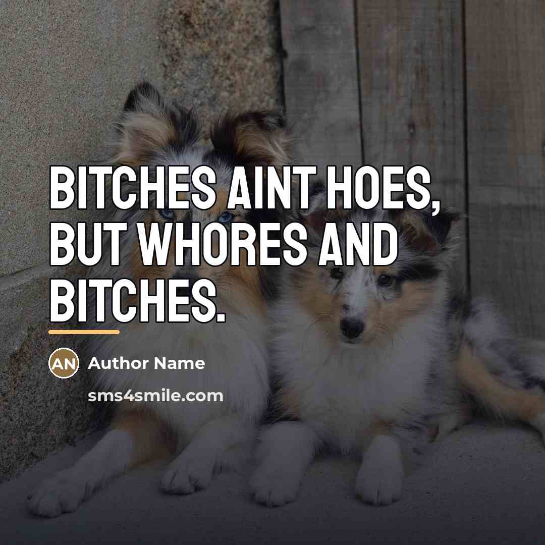 “Bitches aint hoes, but whores and bitches.…” quote by Author Name
