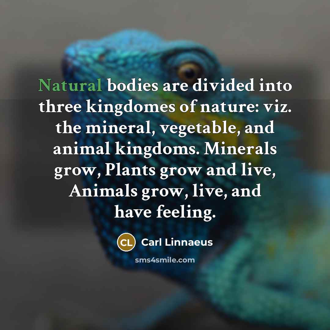 “Natural bodies are divided into three kingdomes of nature: viz.…” quote by Carl Linnaeus