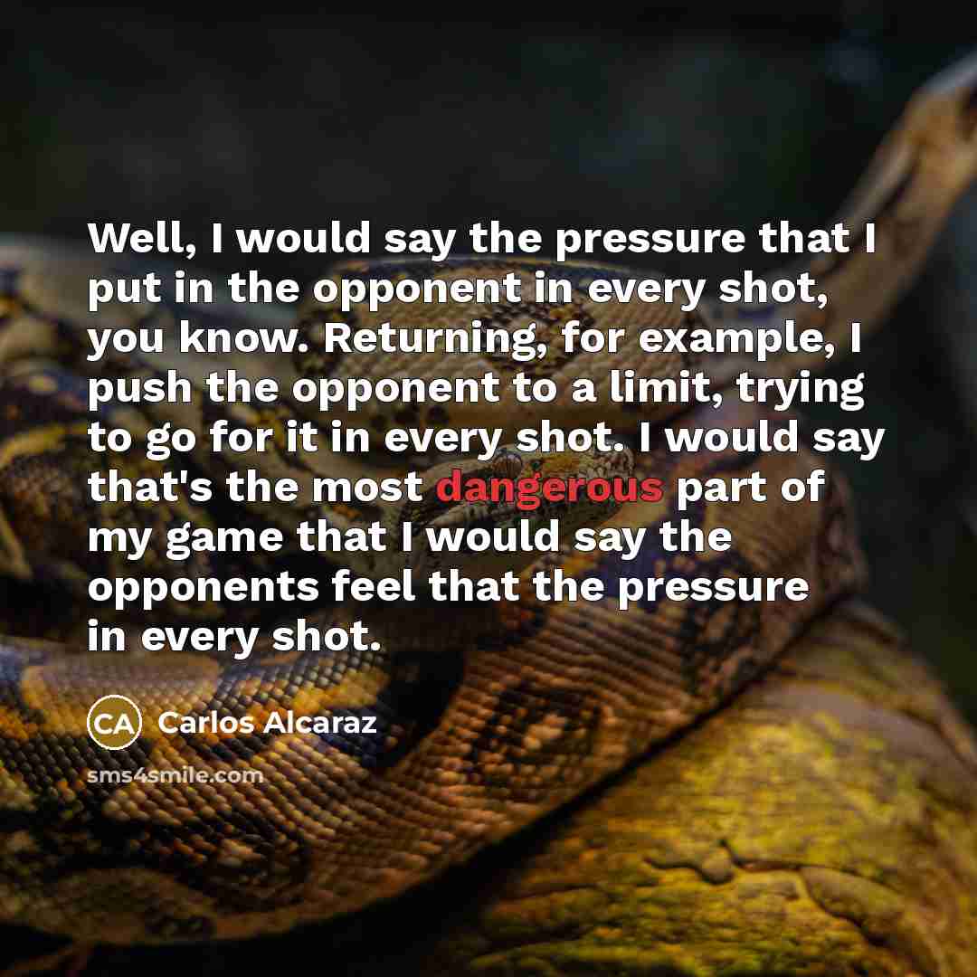 “Well, I would say the pressure that I put in…” quote by Carlos Alcaraz