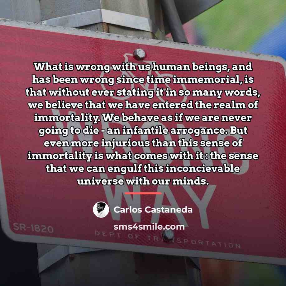 “What is wrong with us human beings, and has been…” quote by Carlos Castaneda