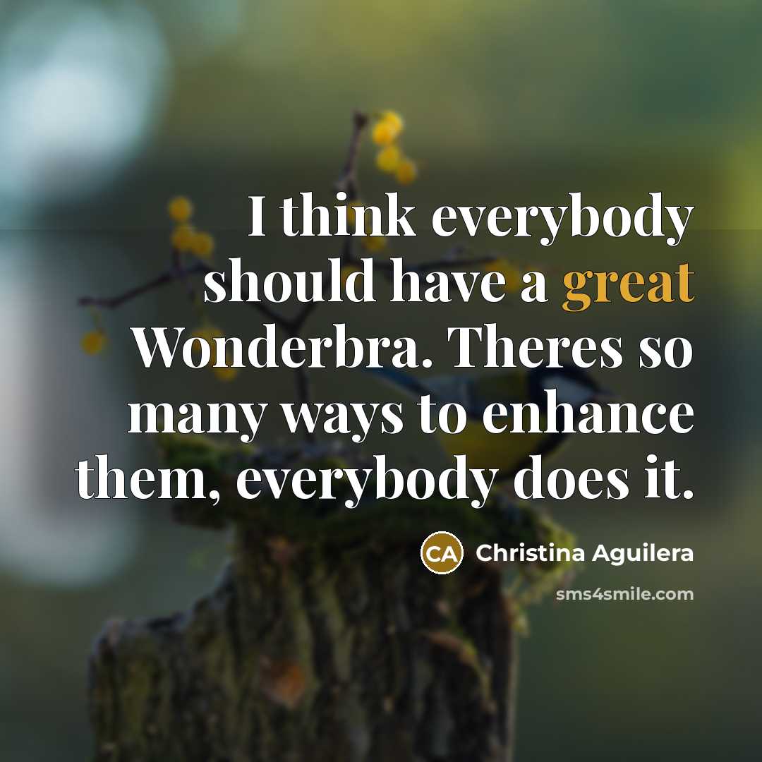 “I think everybody should have a great Wonderbra. Theres so…” quote by Christina Aguilera