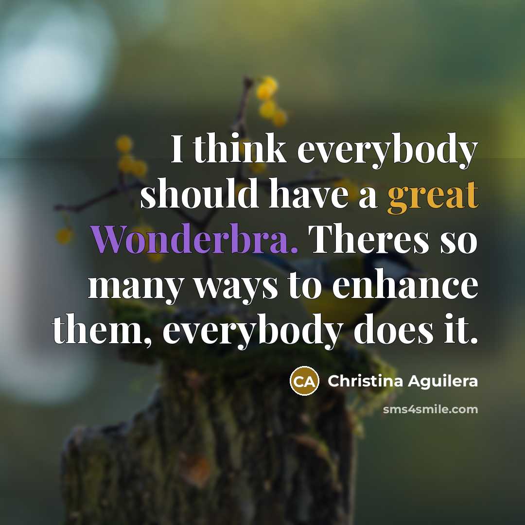 “I think everybody should have a great Wonderbra. Theres so many ways to enhance them, everybody does it.” quote by Christina Aguilera