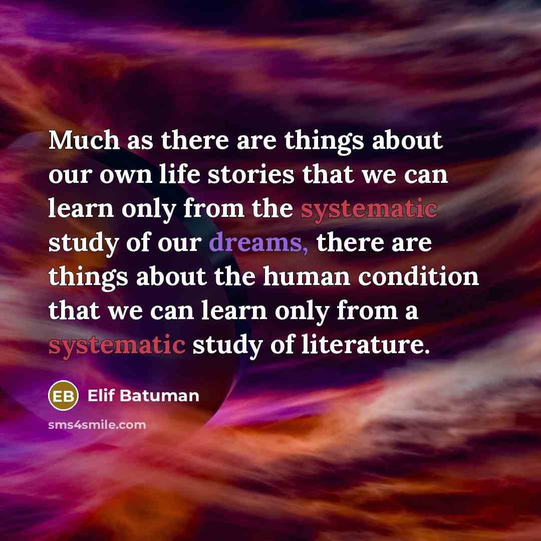 “Much as there are things about our own life stories…” quote by Elif Batuman