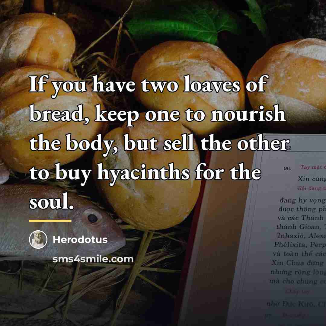 “If you have two loaves of bread, keep one to…” quote by Herodotus