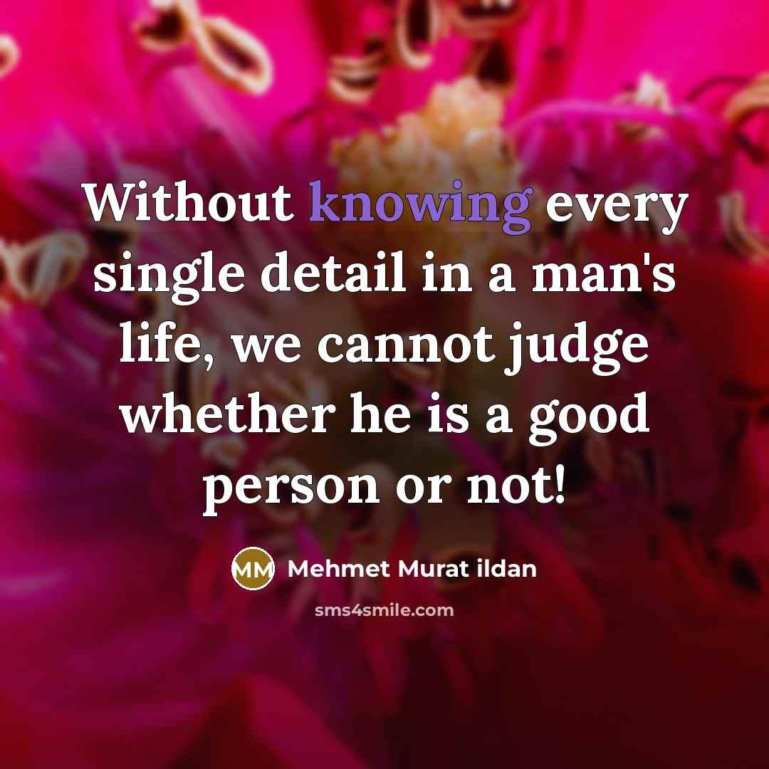 “Without knowing every single detail in a man's life, we…” quote by Mehmet Murat Ildan