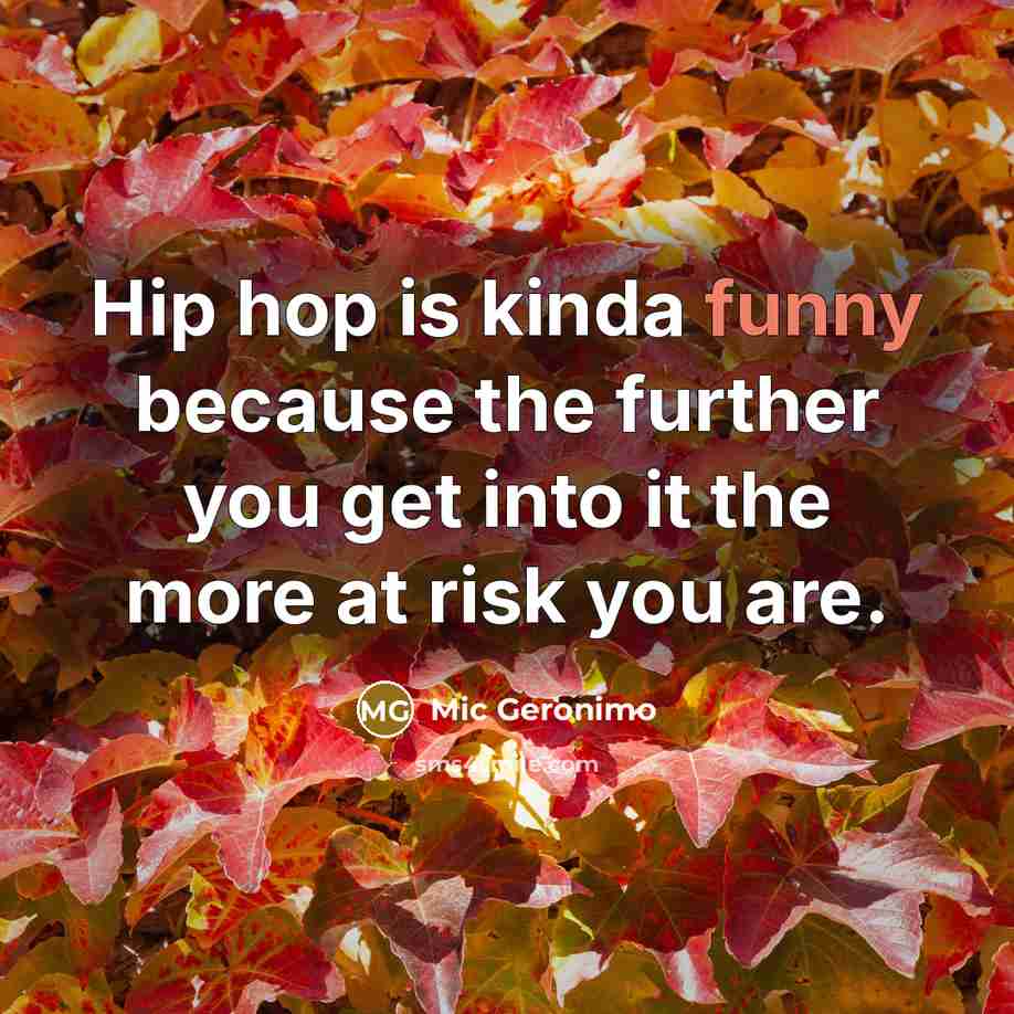 “Hip hop is kinda funny because the further you get…” quote by Mic Geronimo