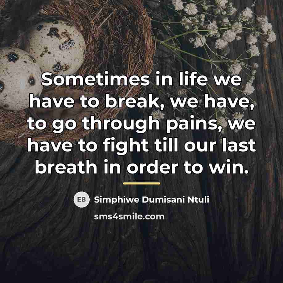 “Sometimes in life we have to break, we have, to…” quote by Simphiwe Dumisani Ntuli