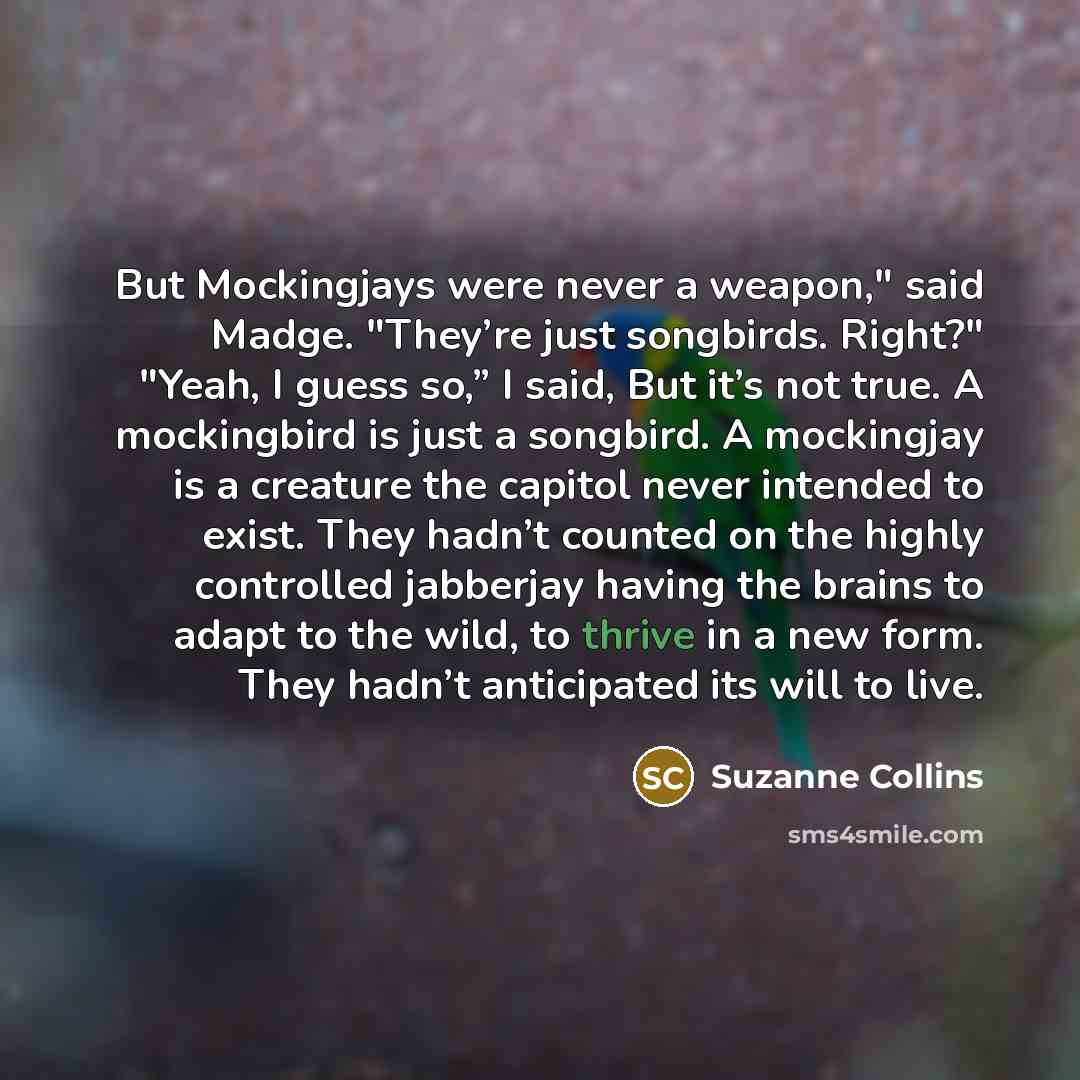 “But Mockingjays were never a weapon," said Madge. "They’re just songbirds. Right?" "Yeah, I guess so,” I said, But it’s not true. A mockingbird is just a songbird. A mockingjay is a creature the capitol never intended to exist. They hadn’t counted on the highly controlled jabberjay having the…” quote by Suzanne Collins