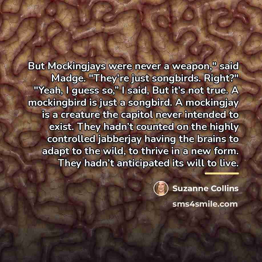 “But Mockingjays were never a weapon," said Madge. "They’re just…” quote by Suzanne Collins