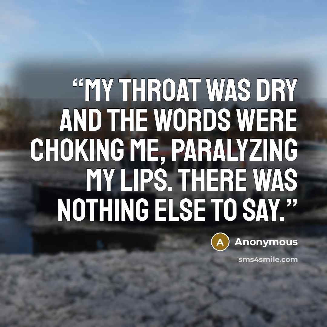 “My throat was dry and the words were choking me, paralyzing my lips. There was nothing else to say.” quote by Anonymous