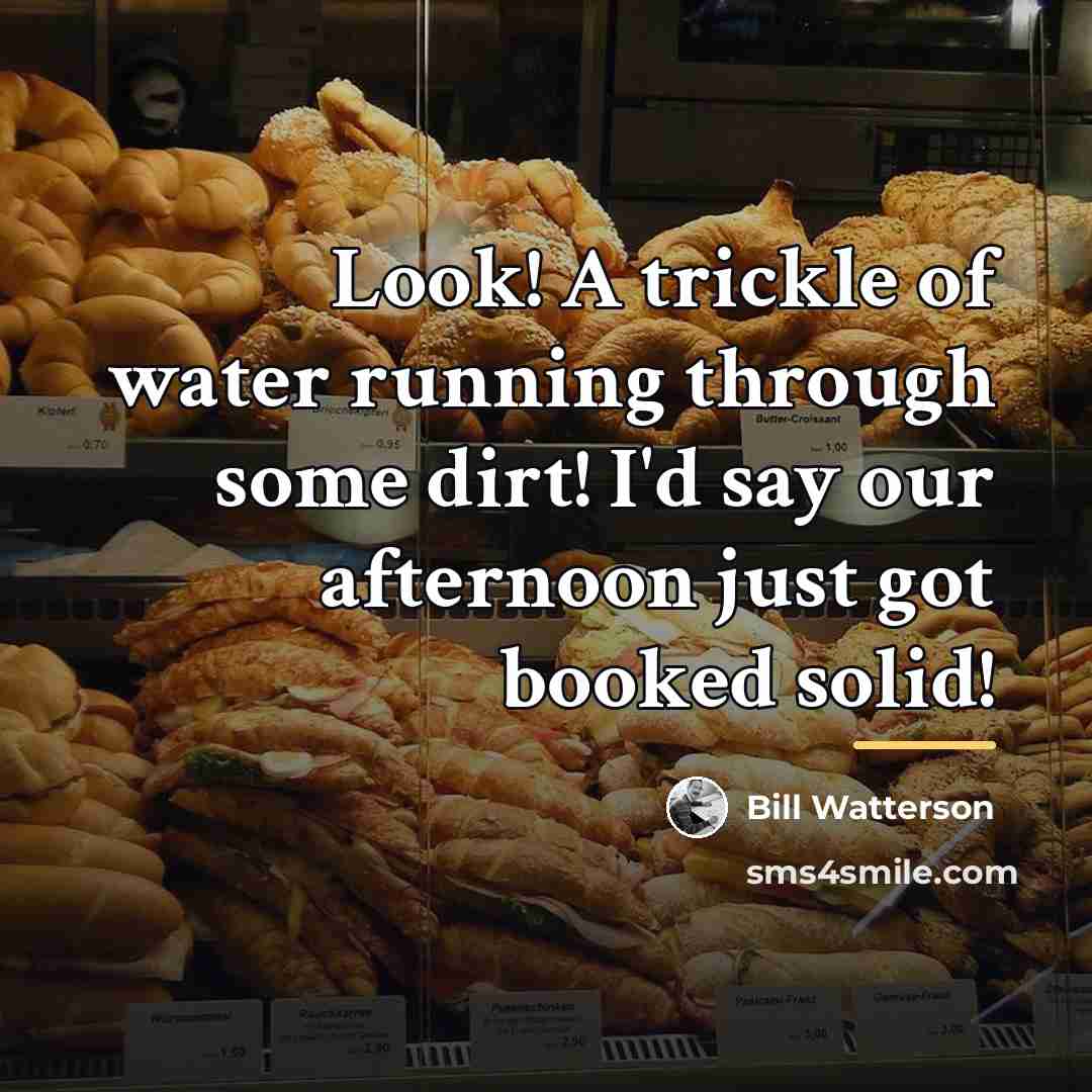 “Look! A trickle of water running through some dirt! I'd…” quote by Bill Watterson