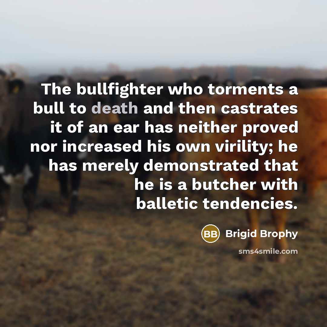 “The bullfighter who torments a bull to death and then…” quote by Brigid Brophy
