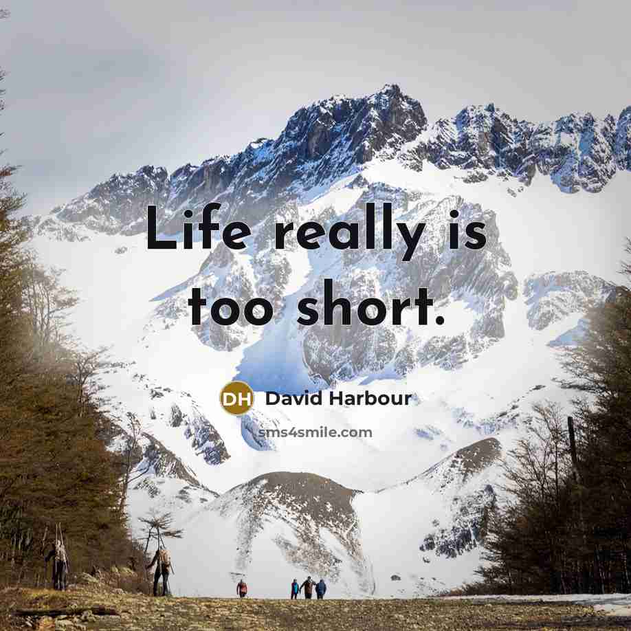 “Life really is too short.…” quote by David Harbour