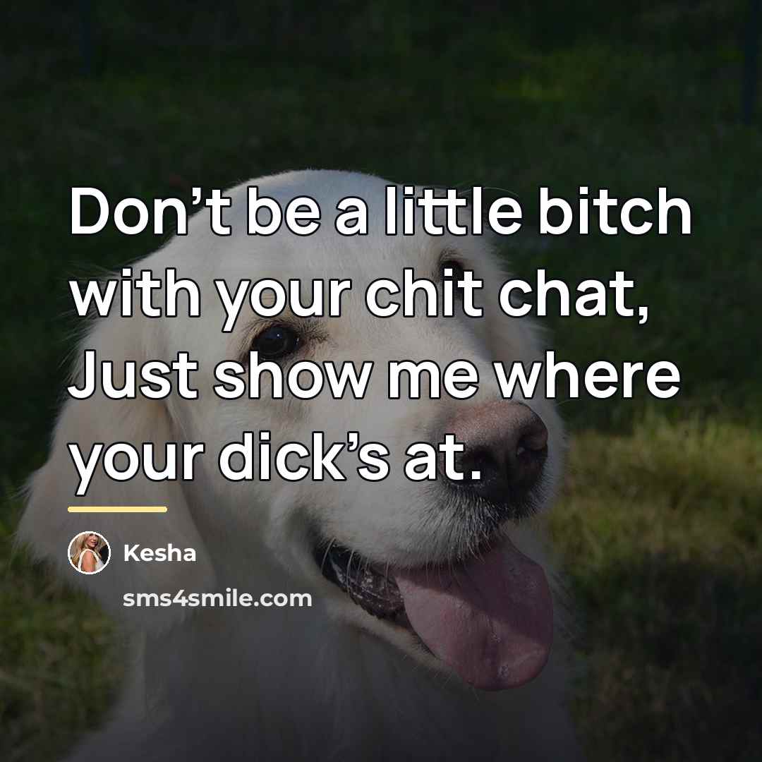 “Don't be a little bitch with your chit chat, Just…” quote by Kesha