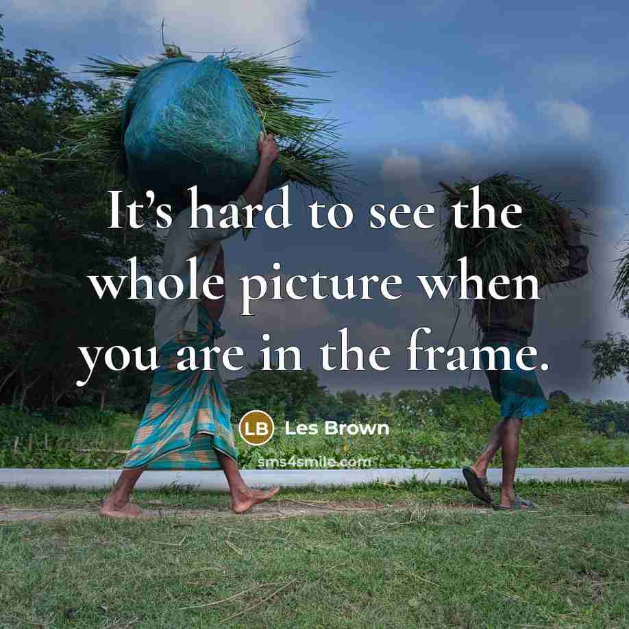 “It’s hard to see the whole picture when you are in the frame.” quote by Les Brown