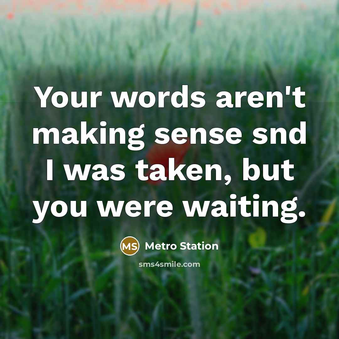 “Your words aren't making sense snd I was taken, but you were waiting.” quote by Metro Station