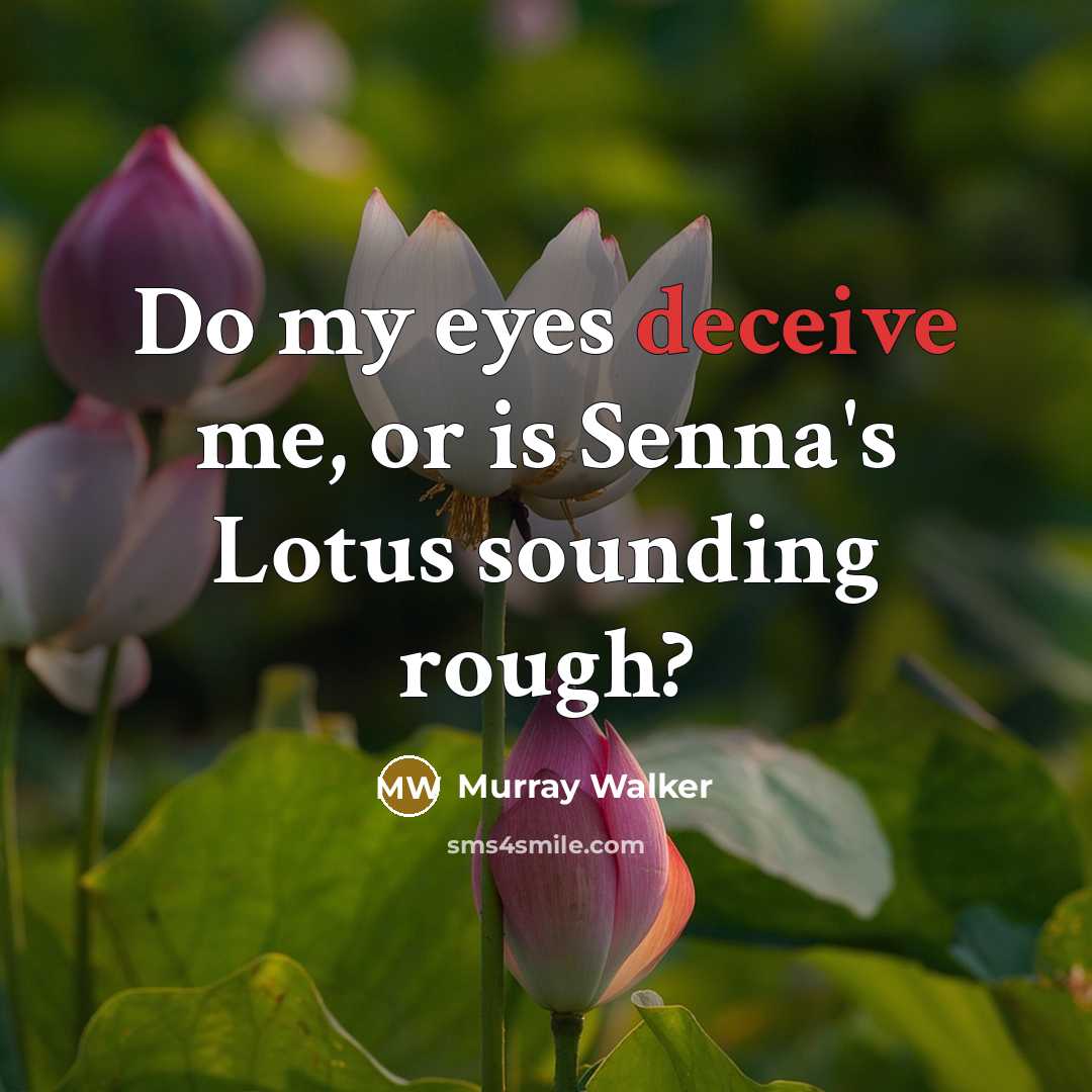 “Do my eyes deceive me, or is Senna's Lotus sounding…” quote by Murray Walker