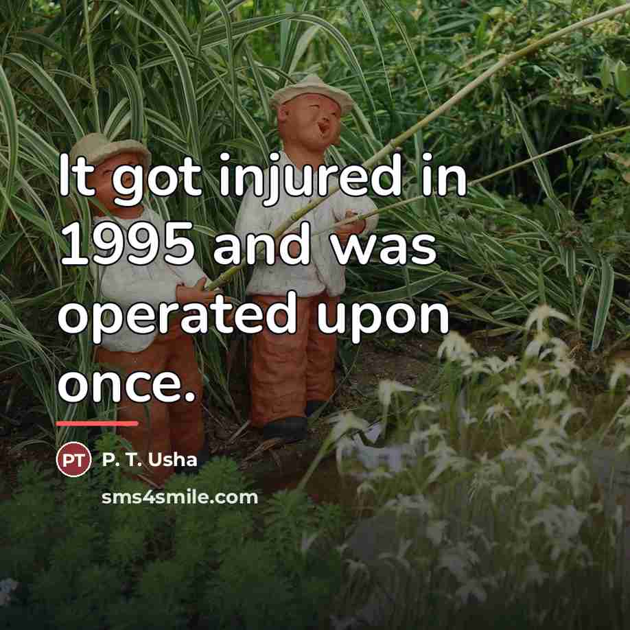 “It got injured in 1995 and was operated upon once.…” quote by P. T. Usha