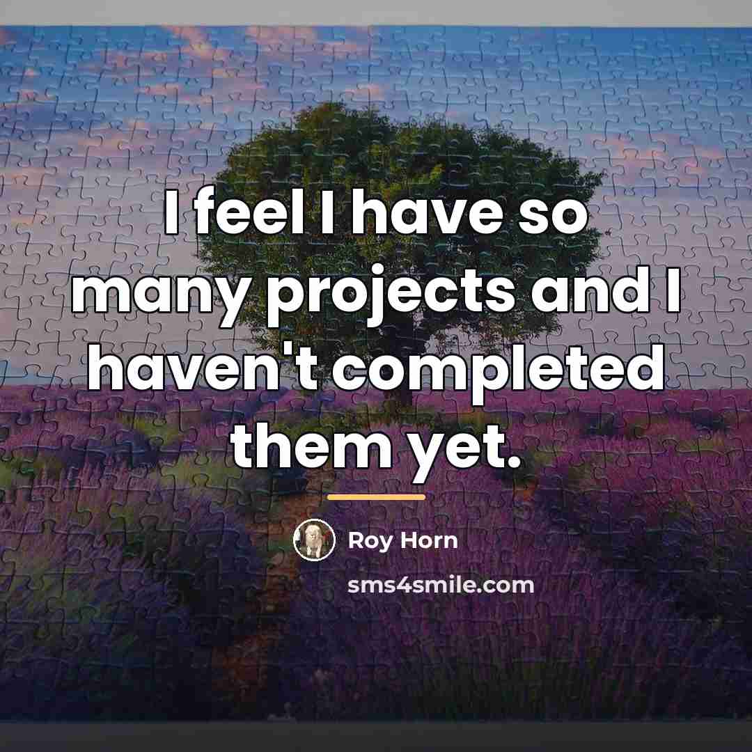 “I feel I have so many projects and I haven't…” quote by Roy Horn