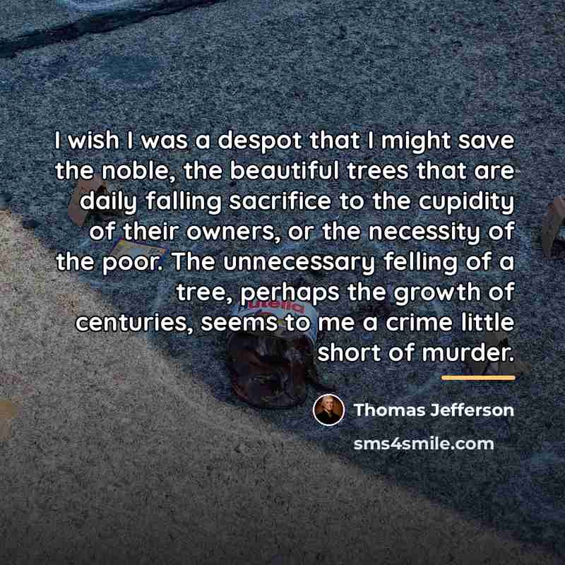 “I wish I was a despot that I might save…” quote by Thomas Jefferson