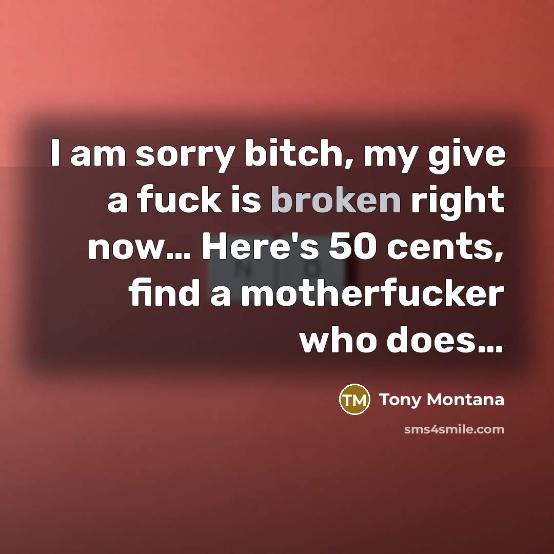 “I am sorry bitch, my give a fuck is broken…” quote by Tony Montana