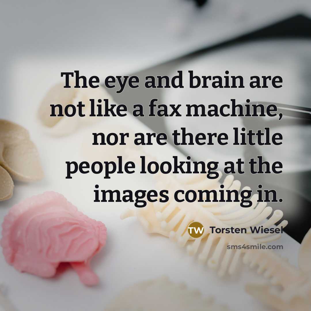 “The eye and brain are not like a fax machine,…” quote by Torsten Wiesel