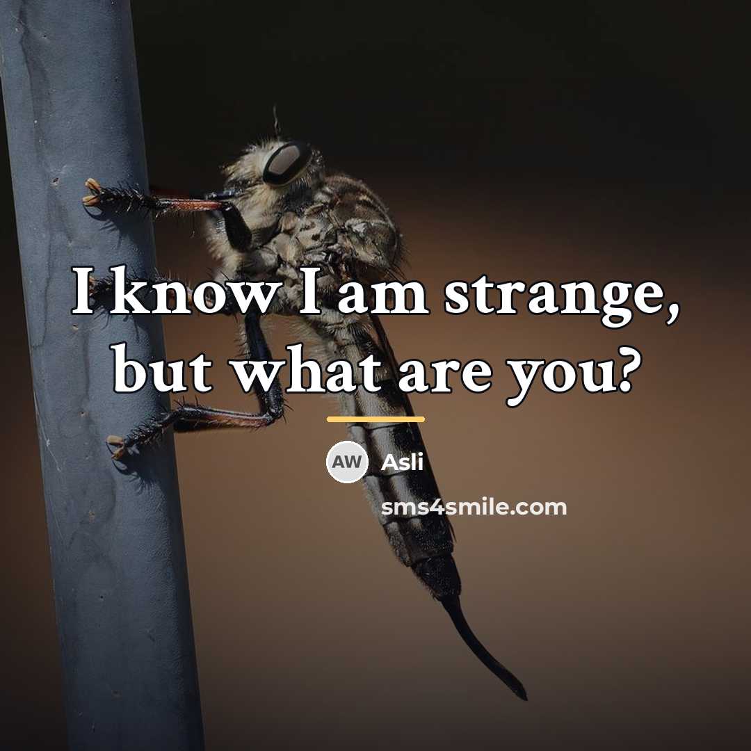 “I know I am strange, but what are you?…” quote by Asli