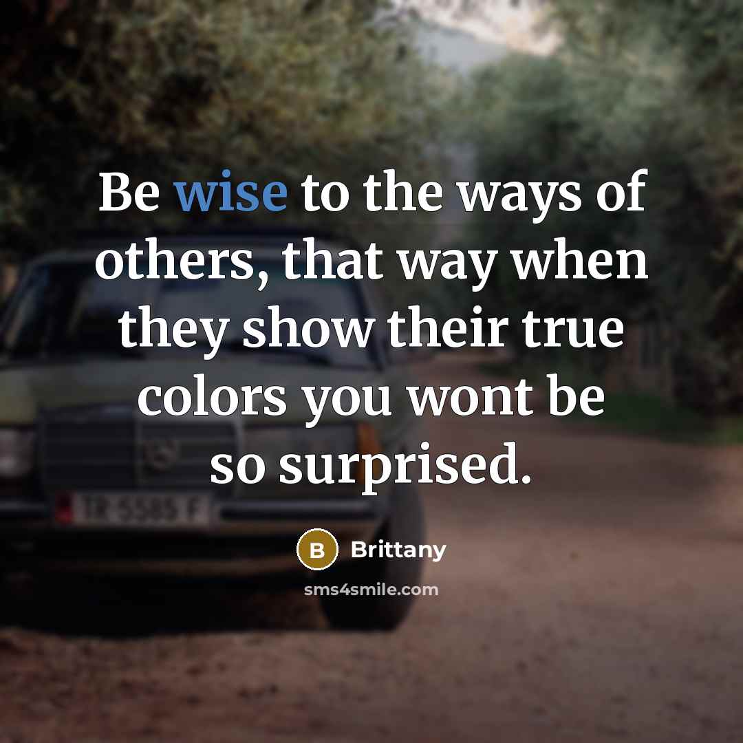 “Be wise to the ways of others, that way when…” quote by Brittany