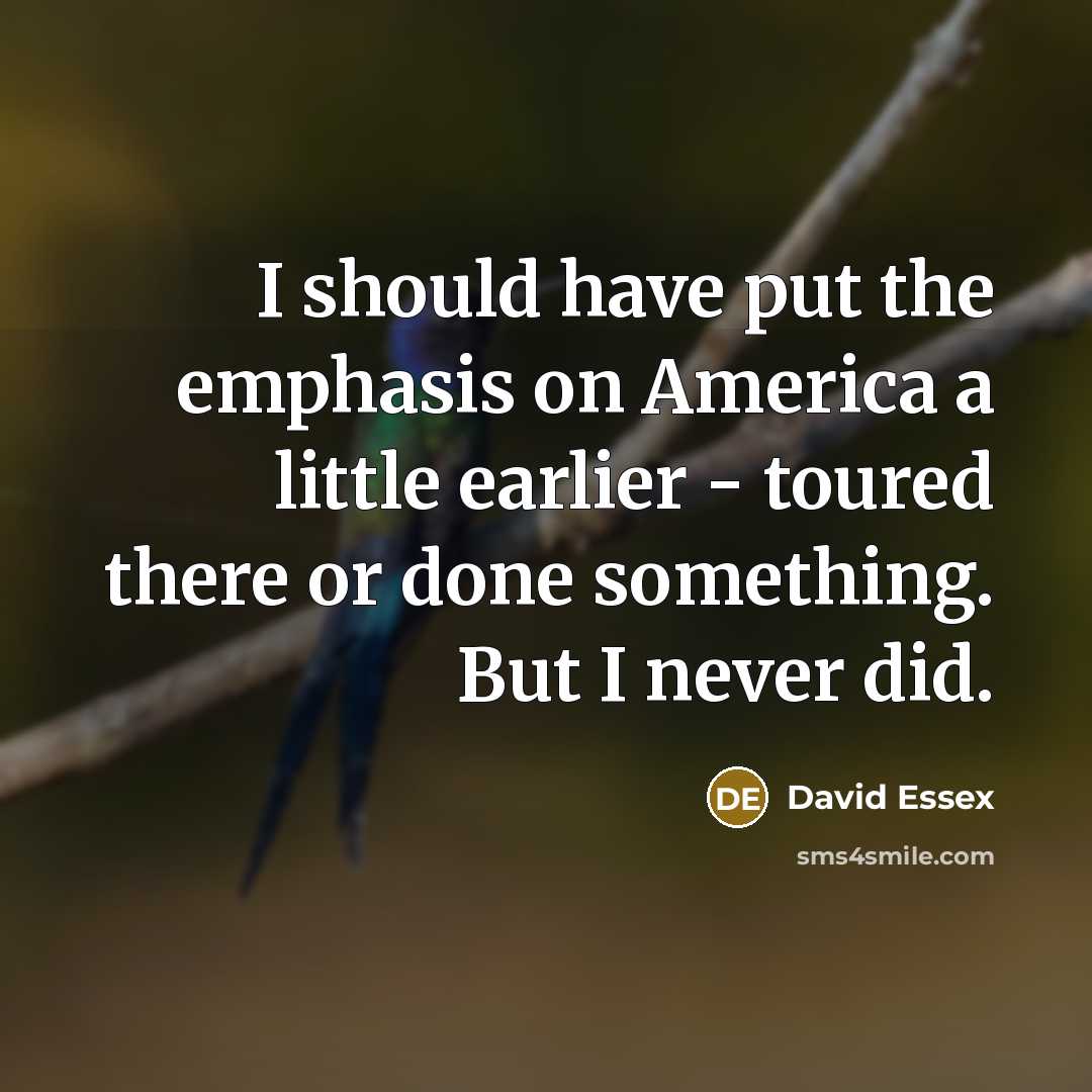 “I should have put the emphasis on America a little…” quote by David Essex
