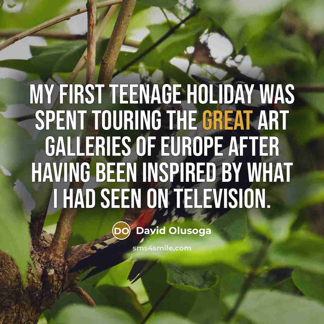 “My first teenage holiday was spent touring the great art…” quote by David Olusoga