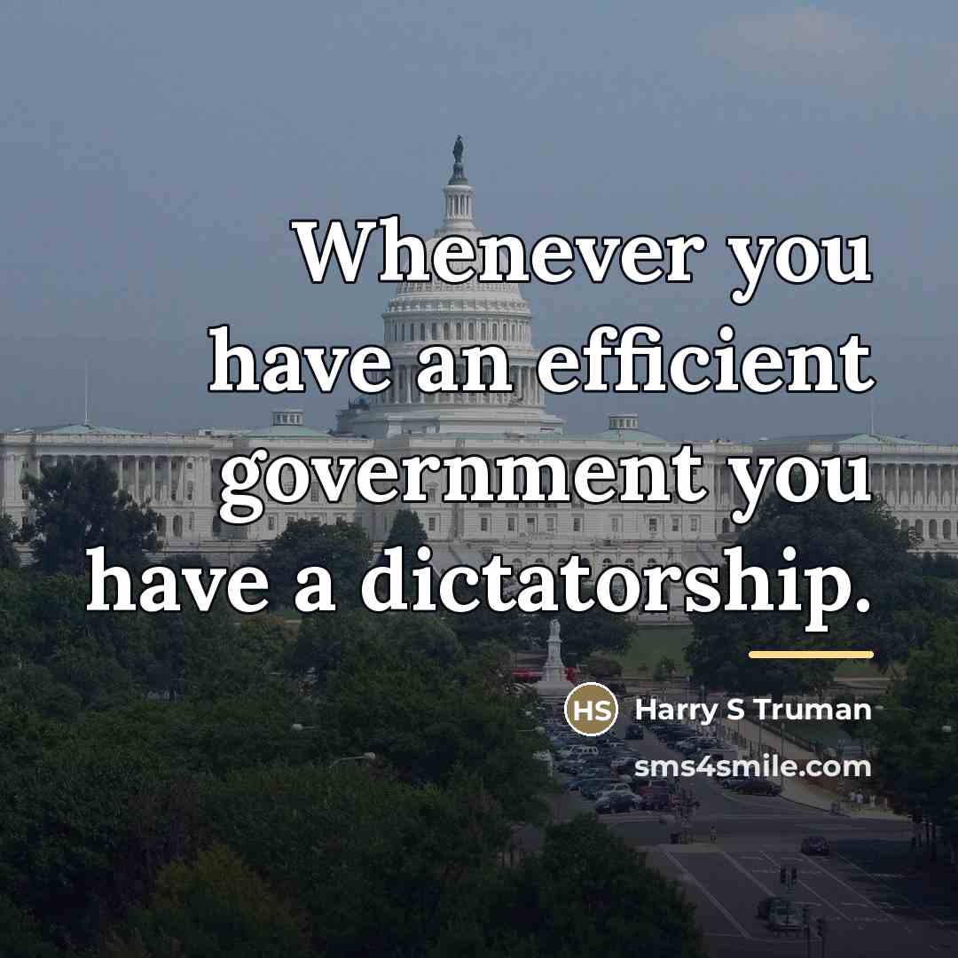 “Whenever you have an efficient government you have a dictatorship.…” quote by Harry S Truman