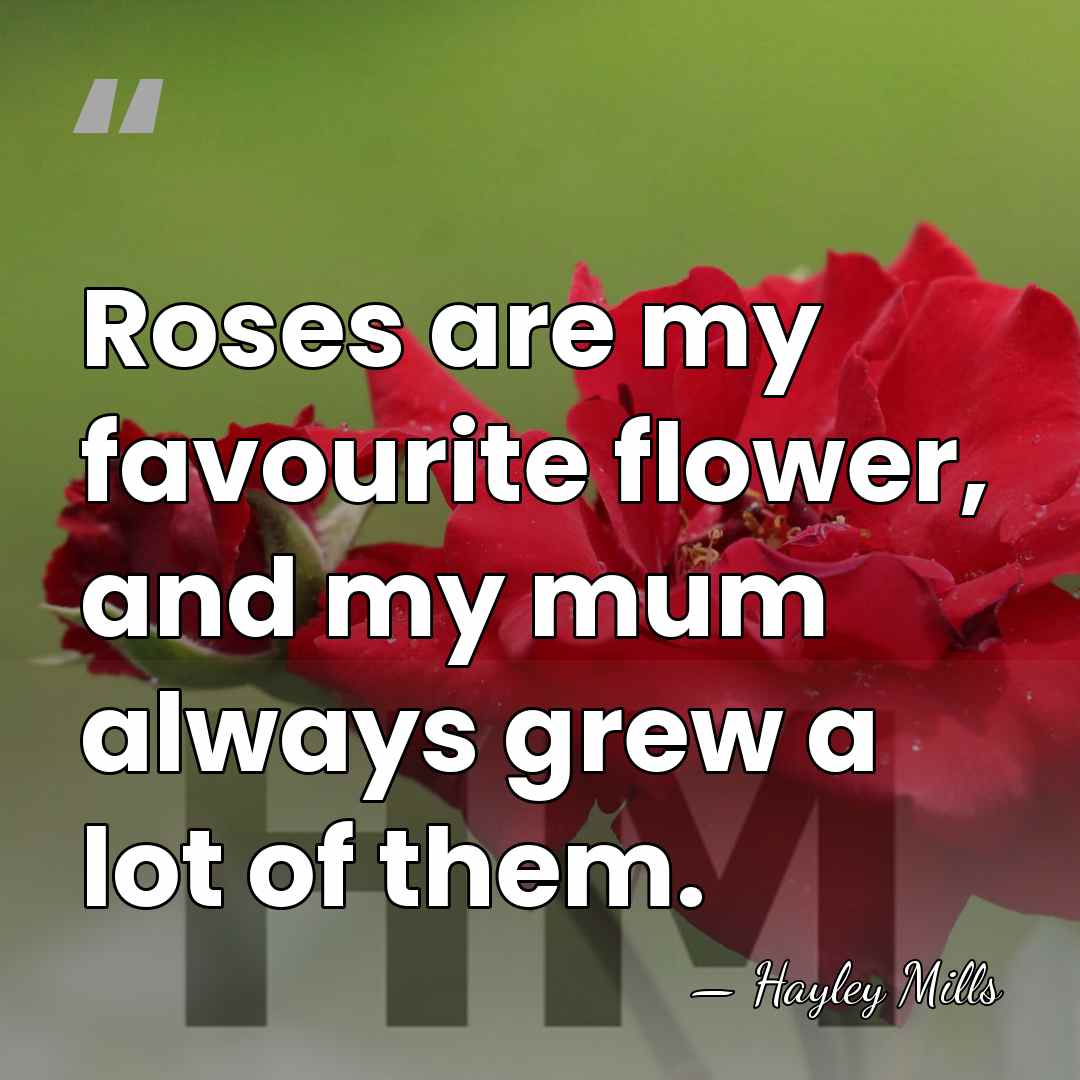 Roses are my favourite flower, and my mum always grew a lot&hellip; - Hayley Mills