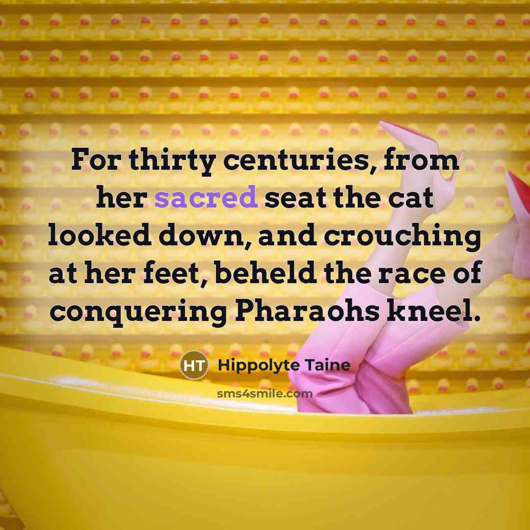 “For thirty centuries, from her sacred seat the cat looked…” quote by Hippolyte Taine
