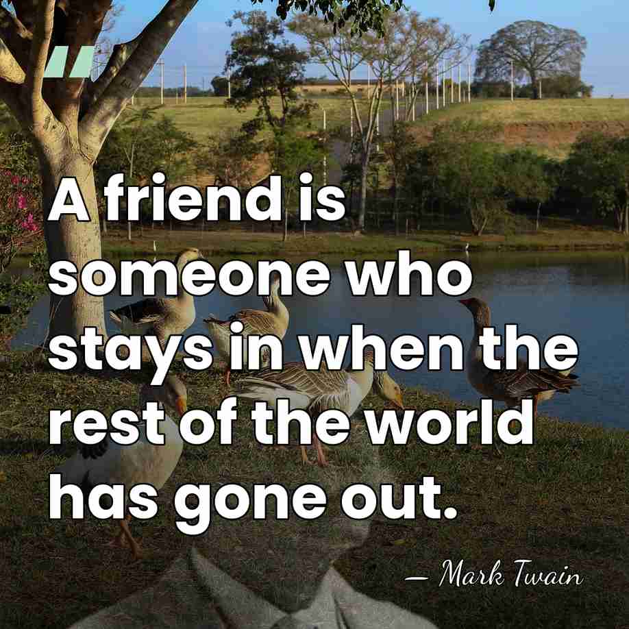 A friend is someone who stays in when the rest of the&hellip; - Mark Twain