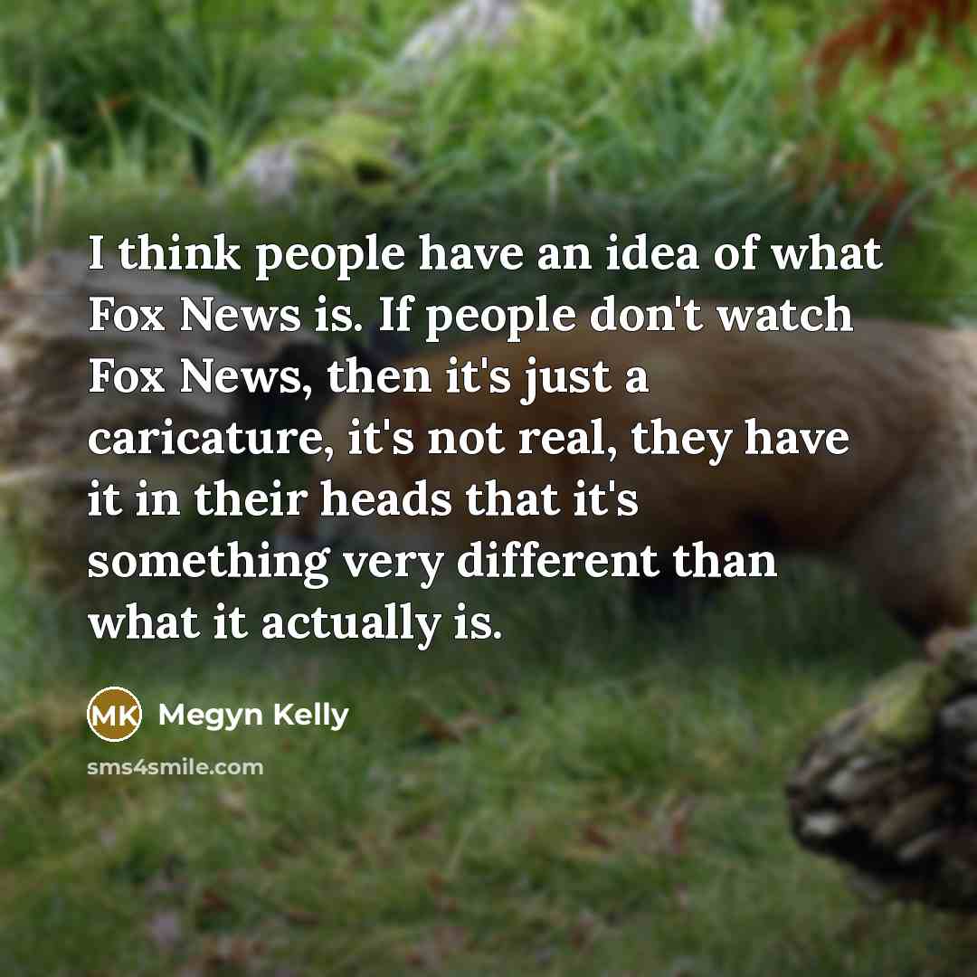 “I think people have an idea of what Fox News…” quote by Megyn Kelly