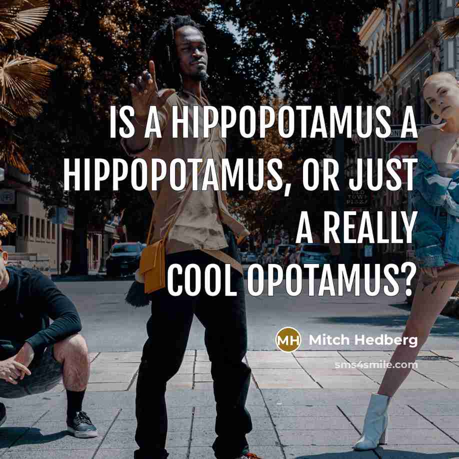 “Is a hippopotamus a hippopotamus, or just a really cool…” quote by Mitch Hedberg